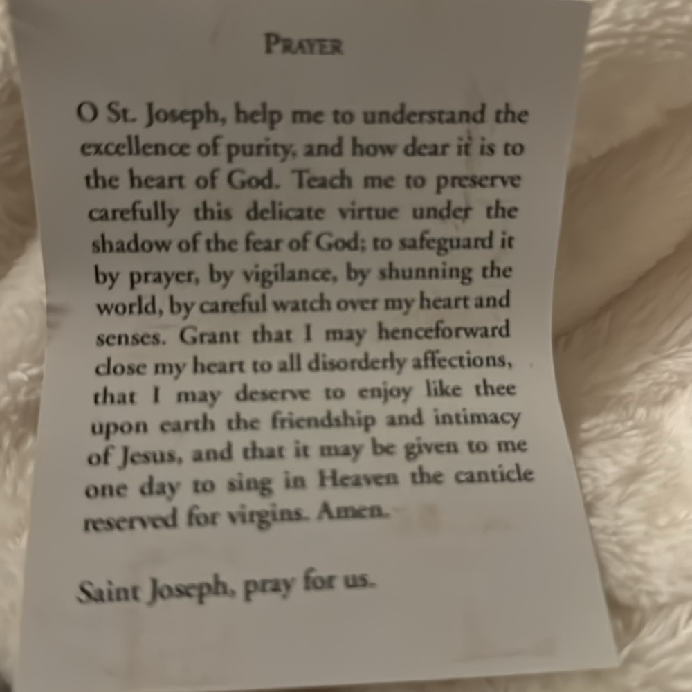 Sleeping Saint Joseph with Prayer Card from Pope Francis Philippines 2015 - Picture 6 of 6